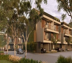 Arvind Forest Trails Featured Image