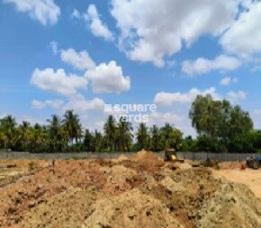 Arvind Orchids Featured Image