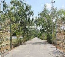 Asha Greenrich County Featured Image