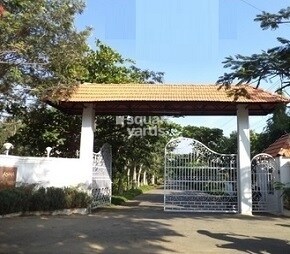 asha-township
