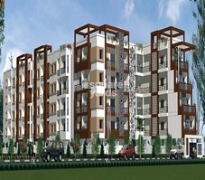 Ashwini Flora Featured Image