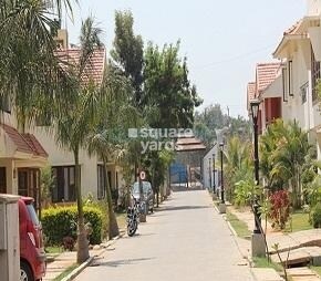 Asset Builders Gardenia