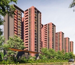 Assetz Sora And Saki