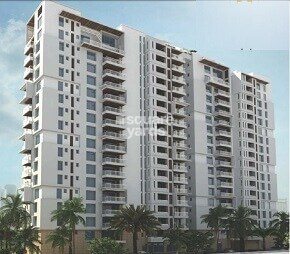 August Grand Featured Image