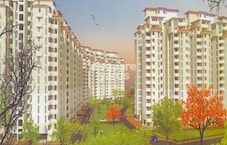 AWHO Sandeep Vihar Featured Image