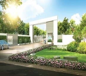 Azven Back to Life, Hoskote, Bangalore