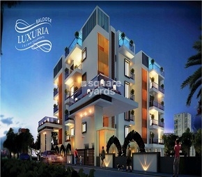 Baldota Luxuria Flagship