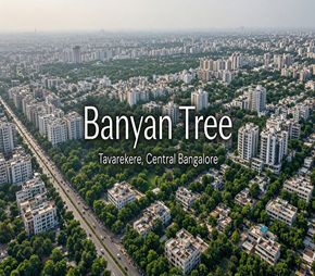 Banyan Tree, Tavarekere, Bangalore