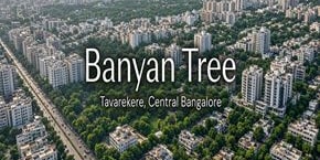 Banyan Tree in Tavarekere, Bangalore