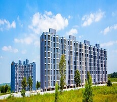 BCD City Featured Image