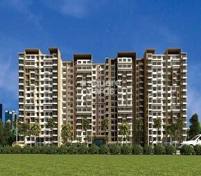 BCD Paradiso Phase I