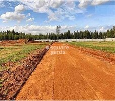 Best Green Orchid Featured Image