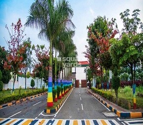 Best Green Valley