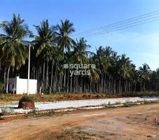 Bhagini Ranga Woods Featured Image