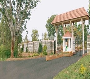 Bhagyashree Riviera Plot