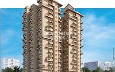 Bhavisha Falcon Featured Image