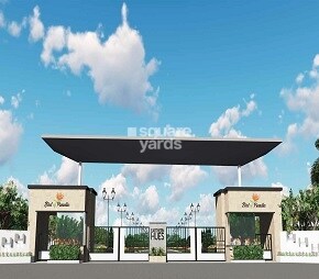 Bird Of Paradise, Kuduragere, Bangalore