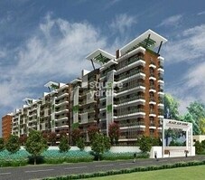 Blaze Sunshine Blossom Featured Image