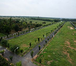 Blue Valley North Town