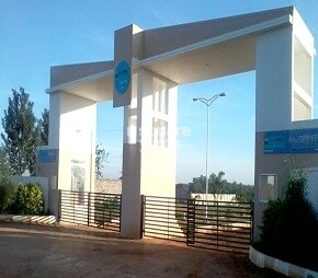 Blue Valley Smilee Celestial, Hosur Road, Bangalore