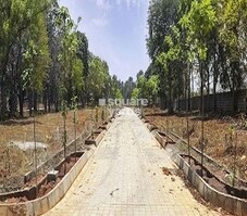 Bluejay Sunshine Hills Featured Image