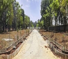 Bluejay Sunshine Hills Featured Image