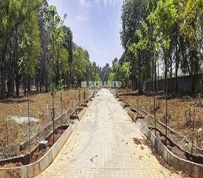 Bluejay Sunshine Hills, Tumkur Road, Bangalore