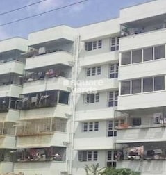 BM Apsara Gold BM Apsara Gold