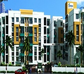 Bren Palms