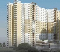 Brigade Buena Vista Video