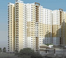 Brigade Buena Vista Featured Image