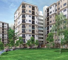 tn brigade deodar flagshipimg1