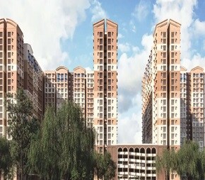 Brigade El Dorado Dioro And Beryl Video