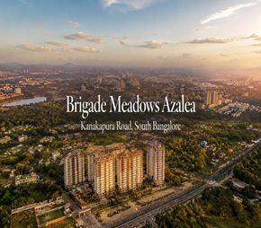 Brigade Meadows Azalea Featured Image