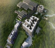 Brigade Meadows Plumeria Video