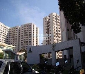 Brigade Millennium Cassia