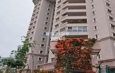 Brigade Millennium Laburnum Featured Image