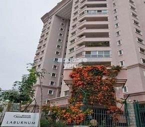 Brigade Millennium Laburnum