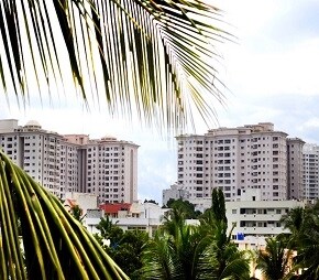 Brigade Millennium Mayflower