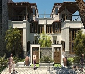 Brigade Oak Tree Place Video