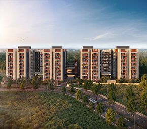 Brigade Orchards Laurel And Maple