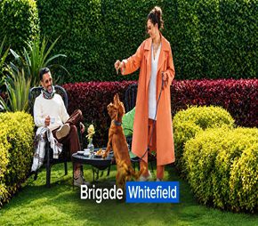 Brigade Whitefield Featured Image