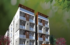 Build Felicity Oasis Featured Image