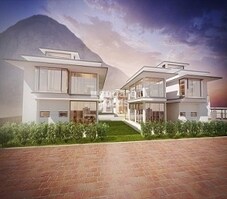 C est La Vie Palmsville Featured Image