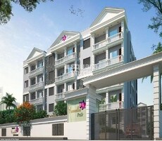 Camellia Pride Featured Image