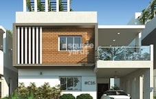 Cansa Hestia Featured Image