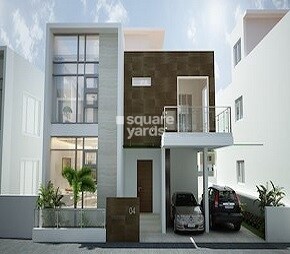 Casa Grande Shamrock