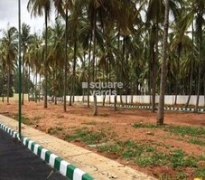 Catalyst Shalom Palm Meadows Featured Image