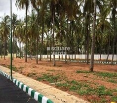 Catalyst Shalom Palm Meadows, Abbigere, Bangalore