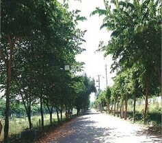 Celebrity Paradise, Electronic City Phase I, Bangalore